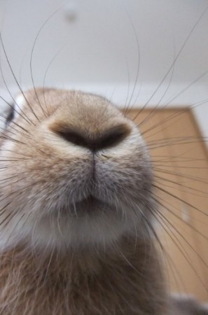 すばらしく運がないな君は