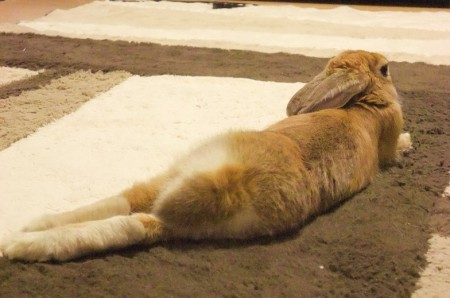 またきたまえ？