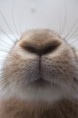 /album/%e3%83%89%e3%82%a5%e3%83%89%e3%82%a5%e3%81%a7%e7%96%b2%e3%82%8c%e3%81%9f%e3%81%a8%e3%81%8d%e7%94%a8/a2011y09m07d-001726711-jpg/